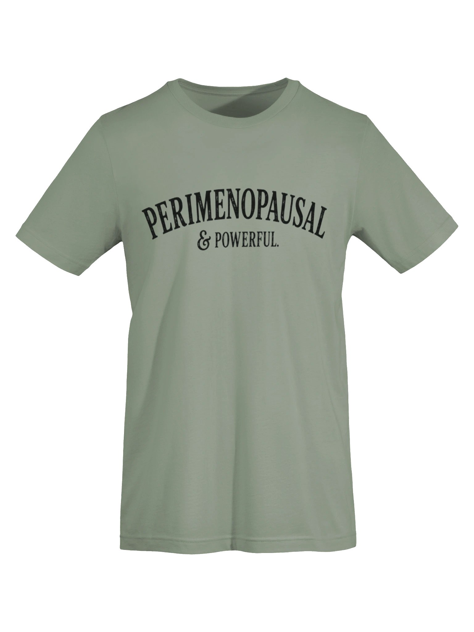 Perimenopausal & Powerful | Vintage Perimenopause Graphic Tee product image (20)
