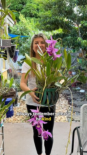 Some orchids are simply keepers! I’ve had this lovely Laelia in my collection for over 10 years, and even though I don’t have...