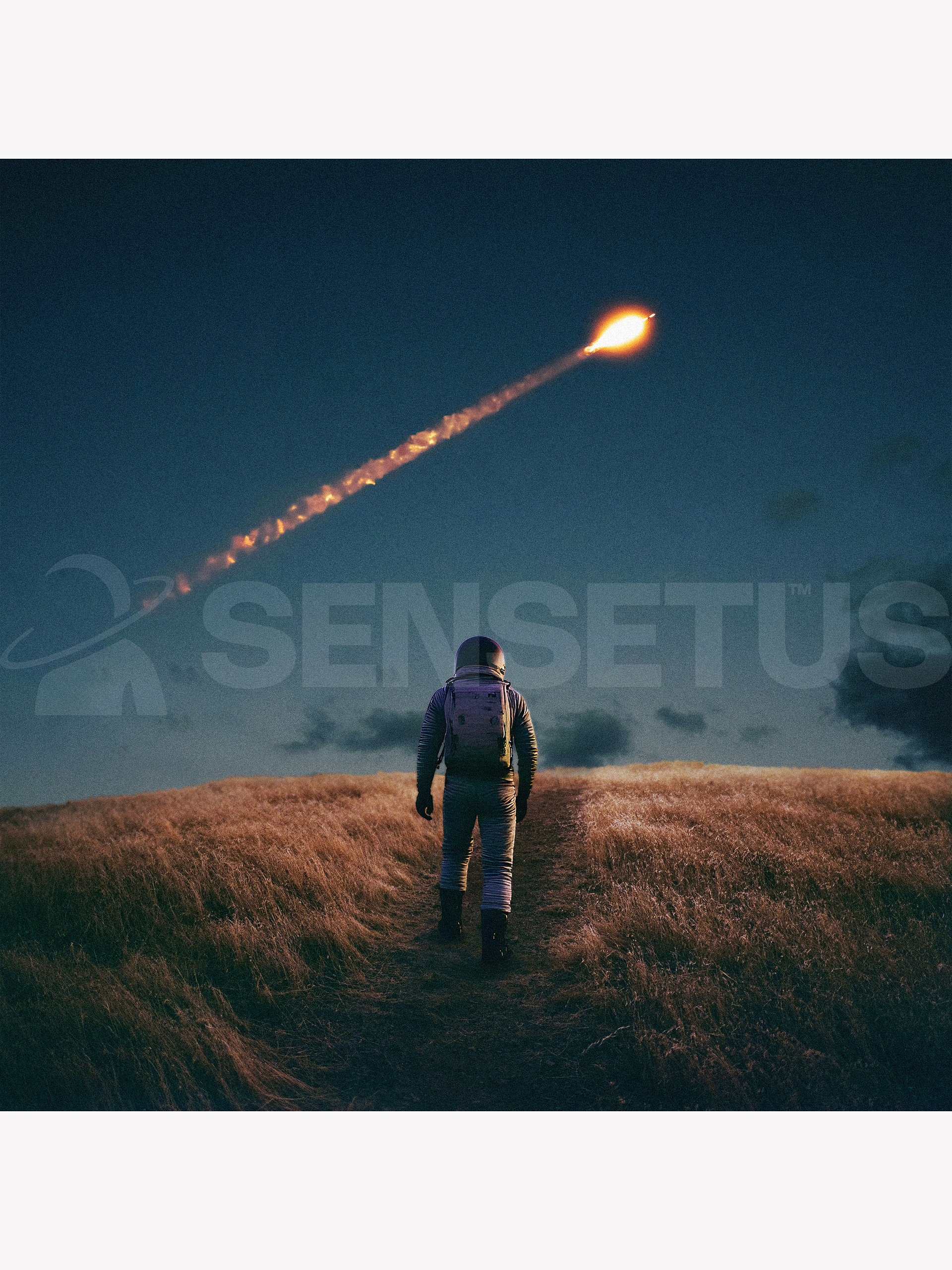 Destined License product image (1)
