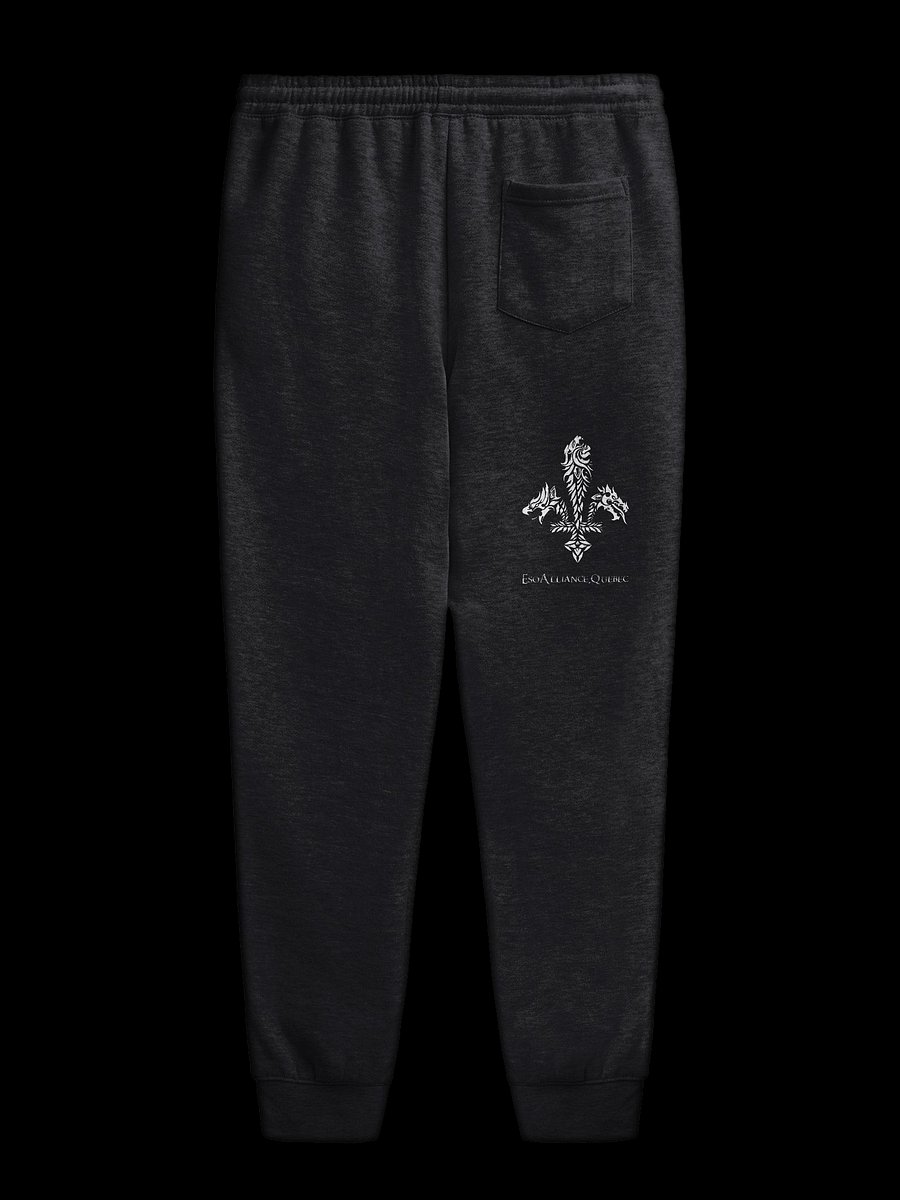 Joggings | Imprimé product image (2)