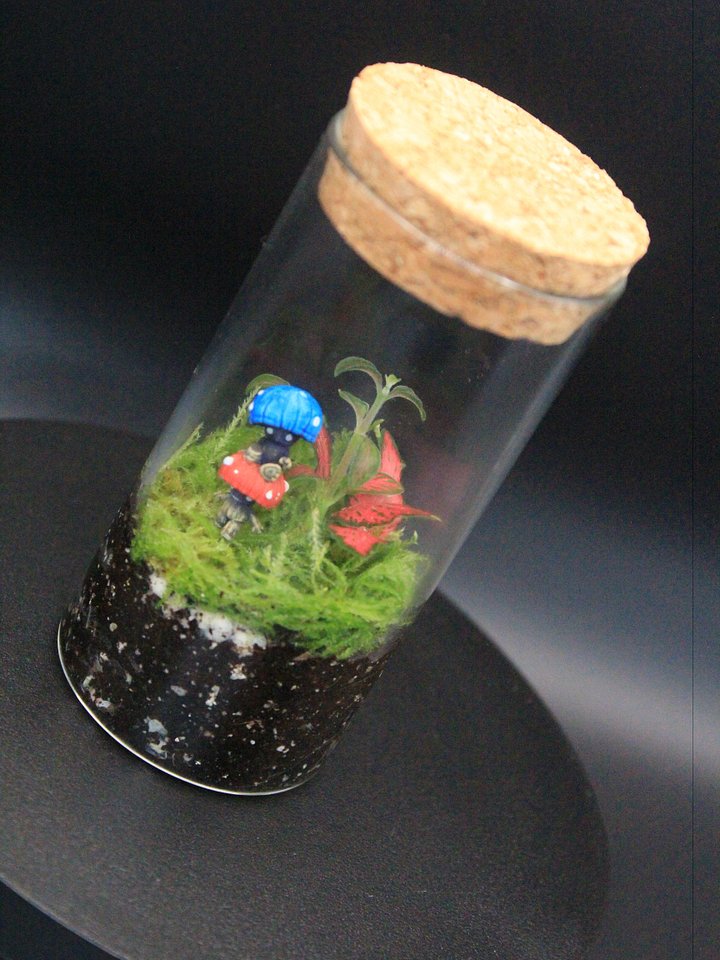 Miniscapes - 'The Minis' - Prototype - Mushroom Boys product image (1)