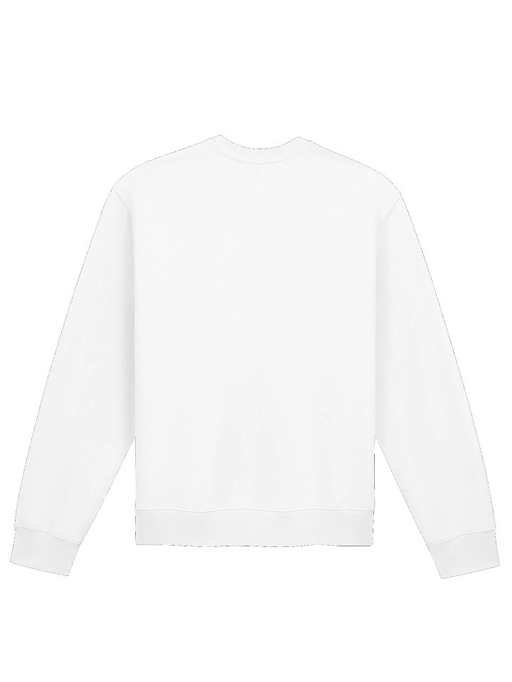 CS Oversized Sweatshirt product image (26)