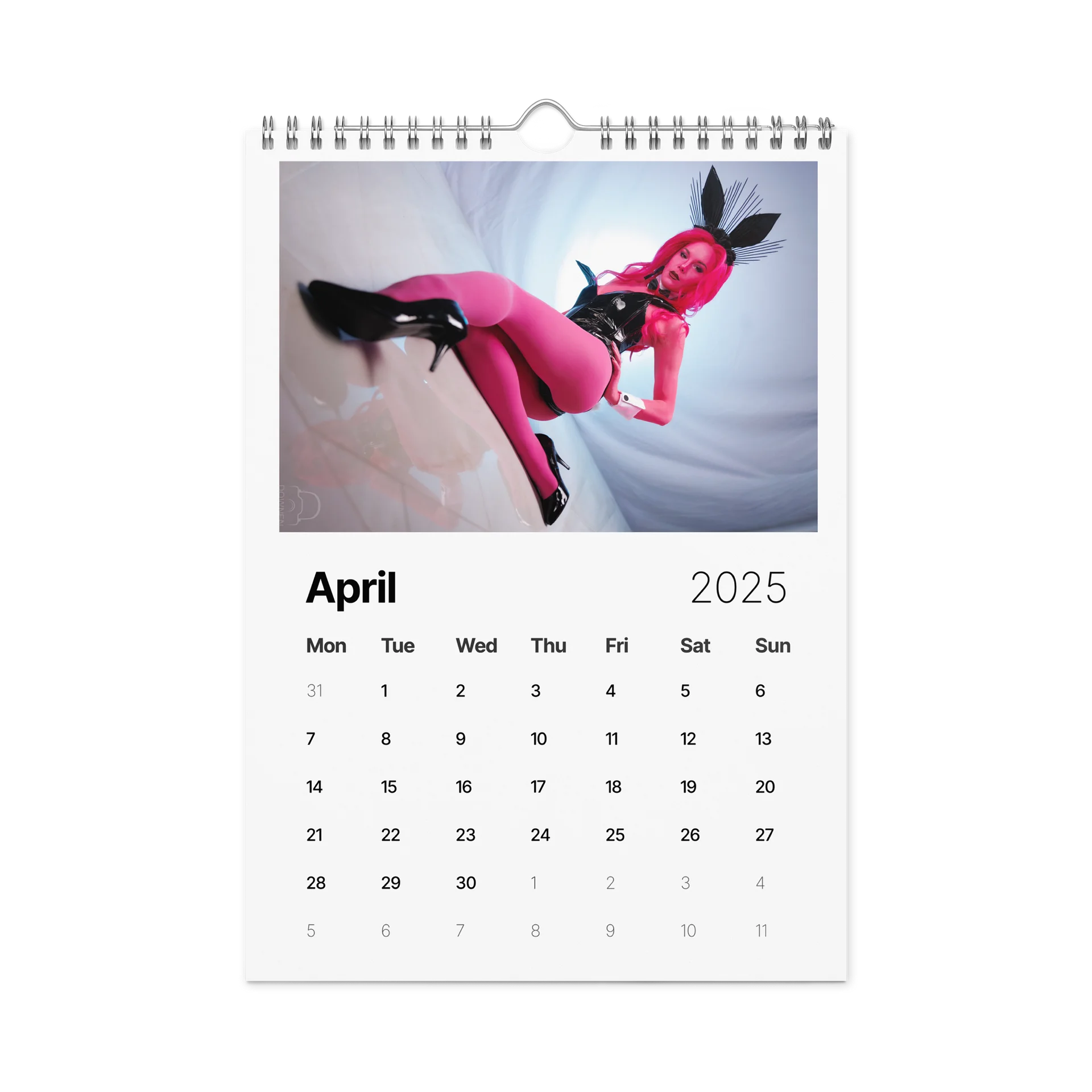 2025 Hiss Calendar product image (1)