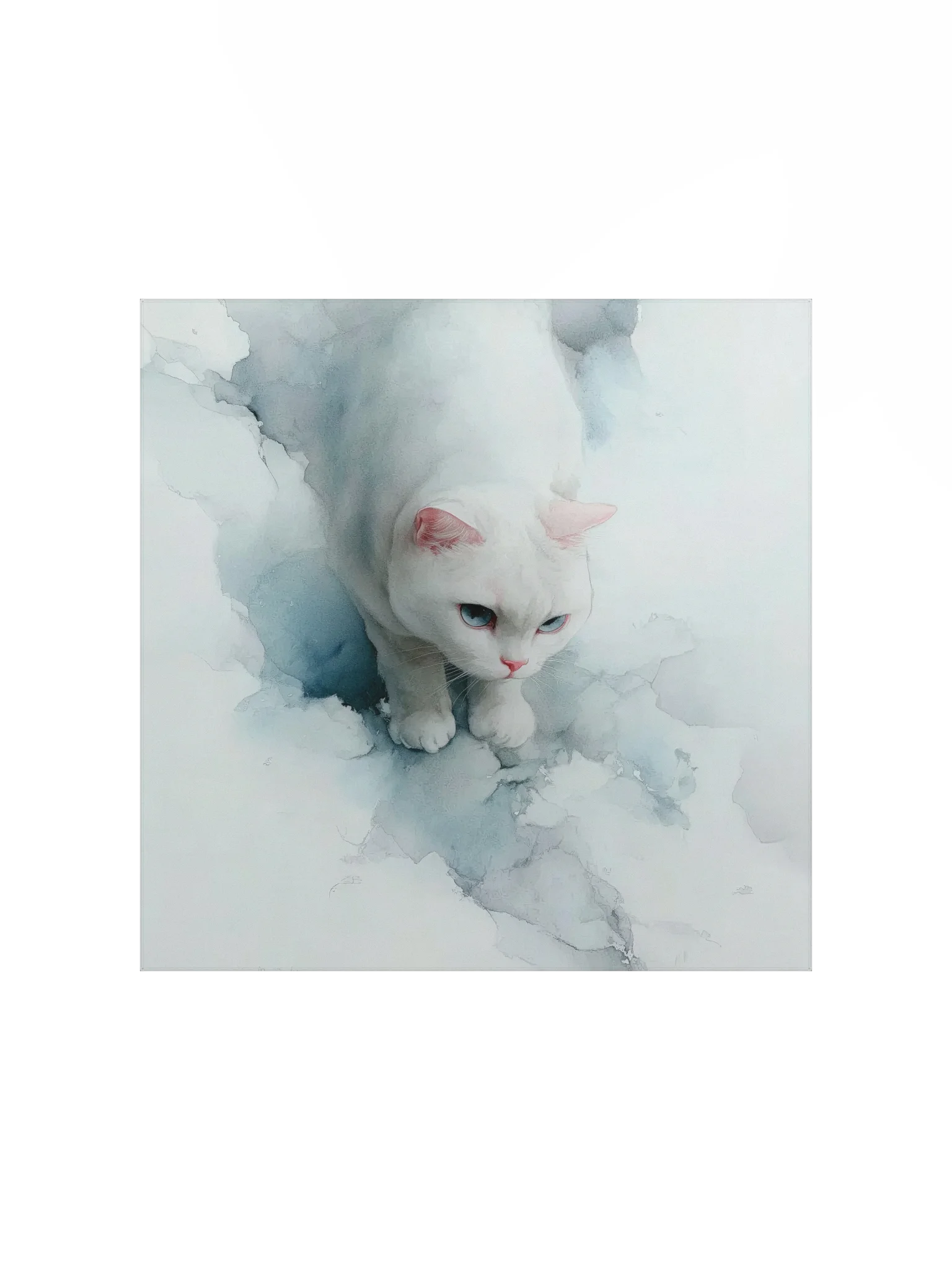 Powder Blue Blue-Eyed Cat product image (2)