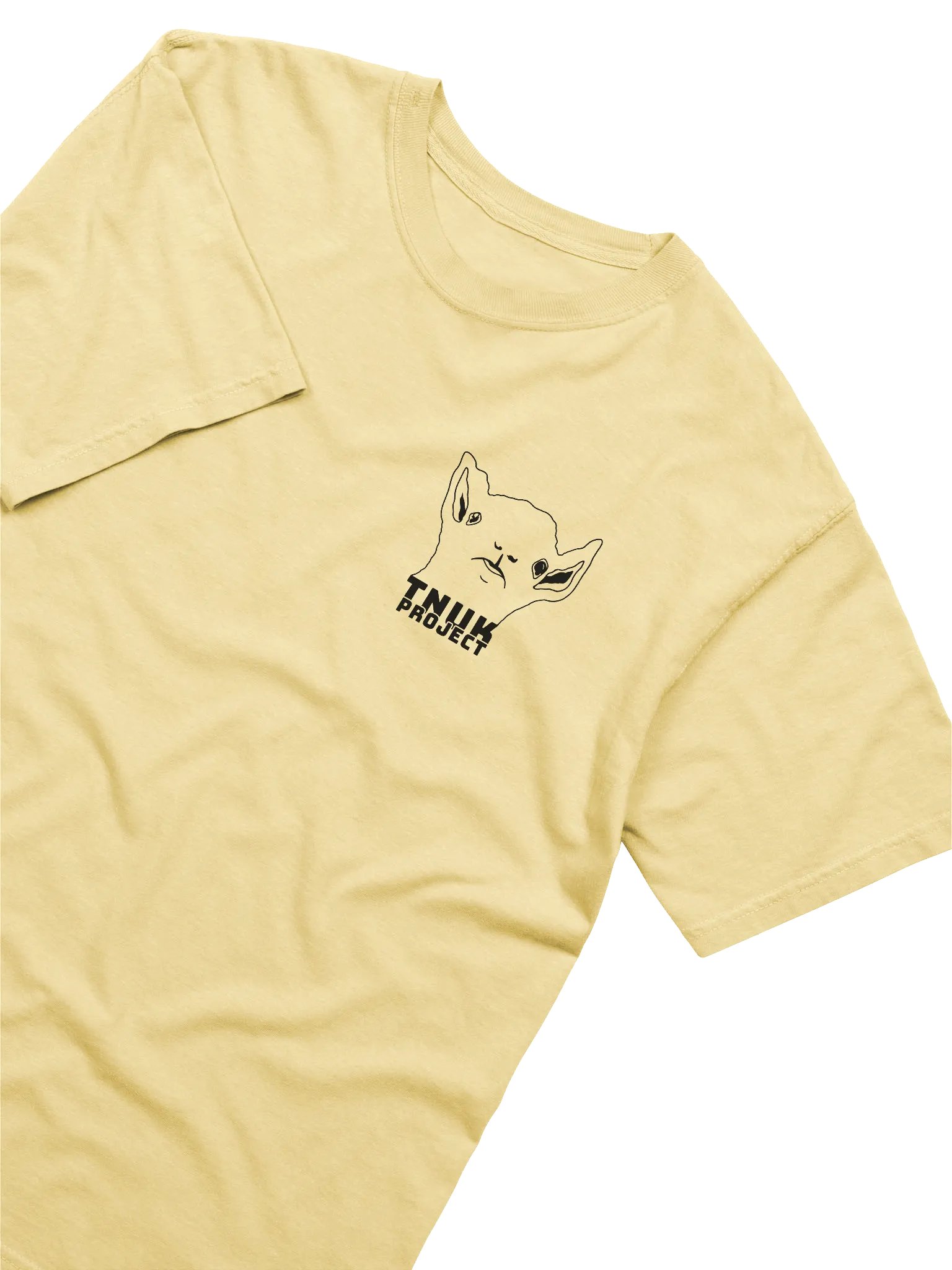 TNUK PROJECT - HEAVYWEIGHT T-SHIRT product image (14)