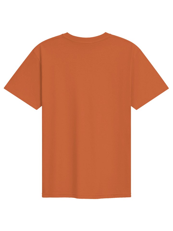 Embroidered Hateverything Heavyweight T Orange product image (2)