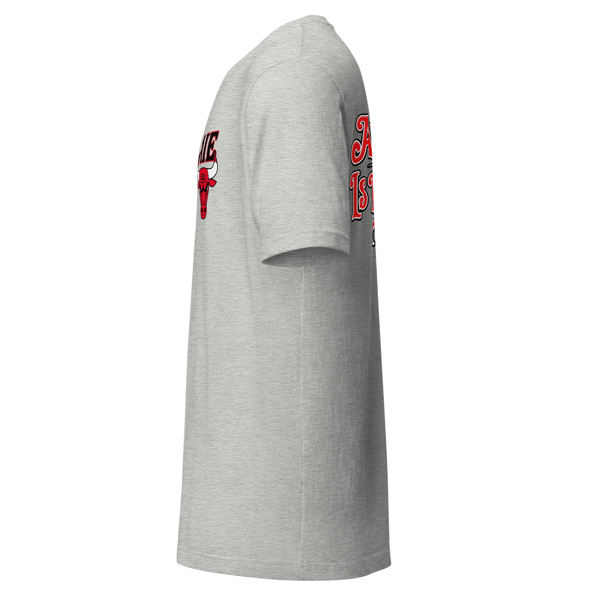 Authenticity Bulls Logo tshirt product image (3)