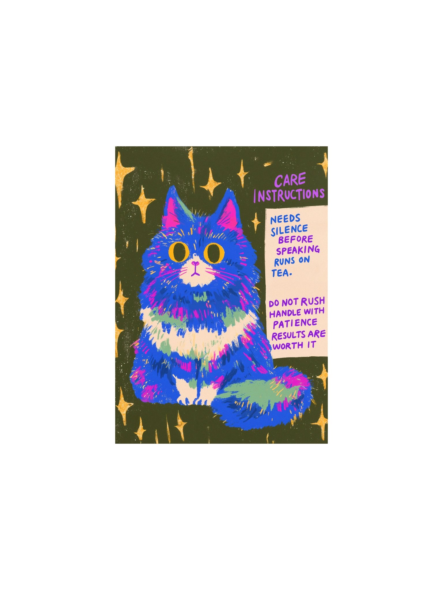 Whimsical Cat Care Instructions Poster product image (2)
