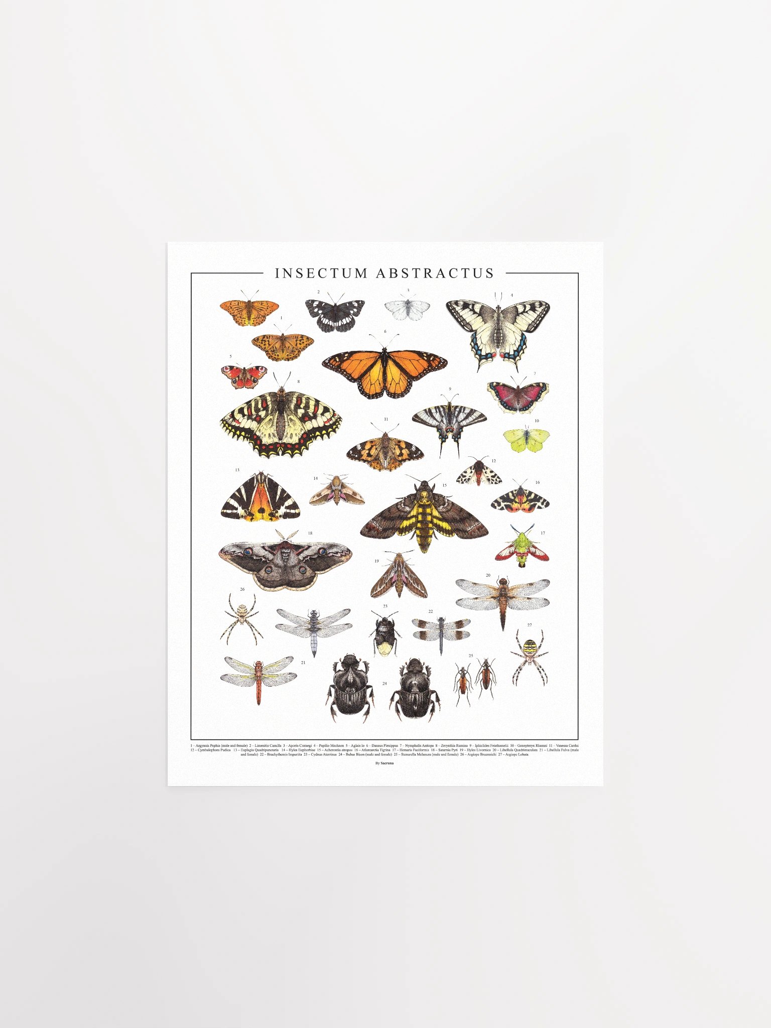 Insectum Abstractus, Whole • Print product image (1)