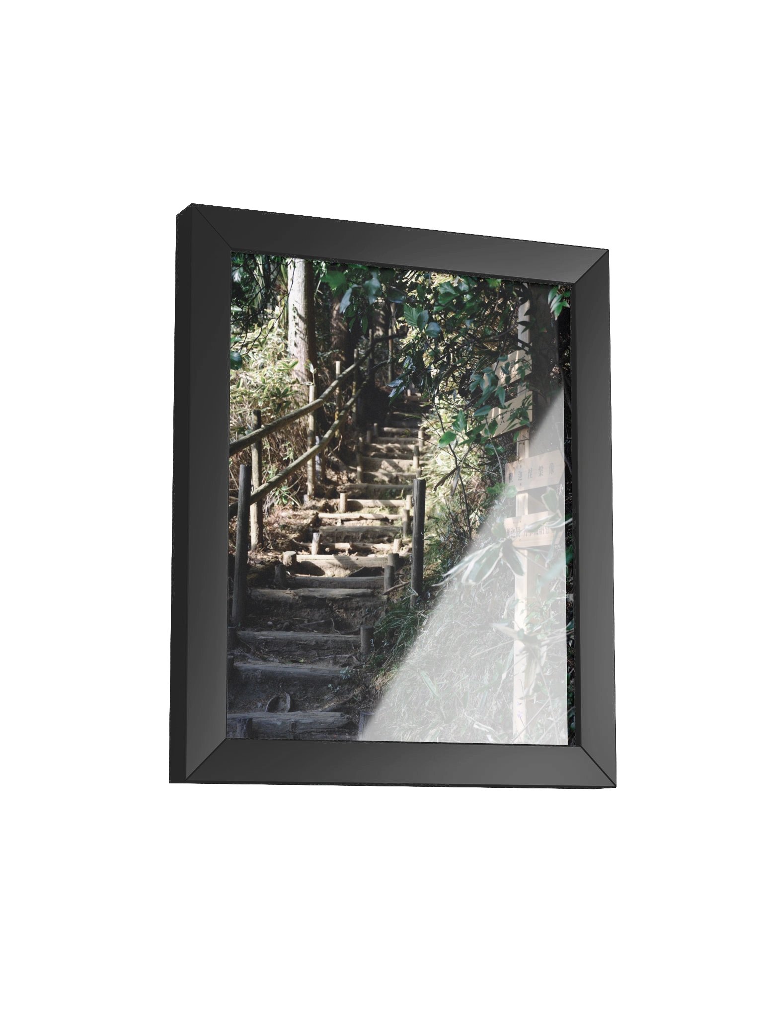 Japanese Forest product image (23)