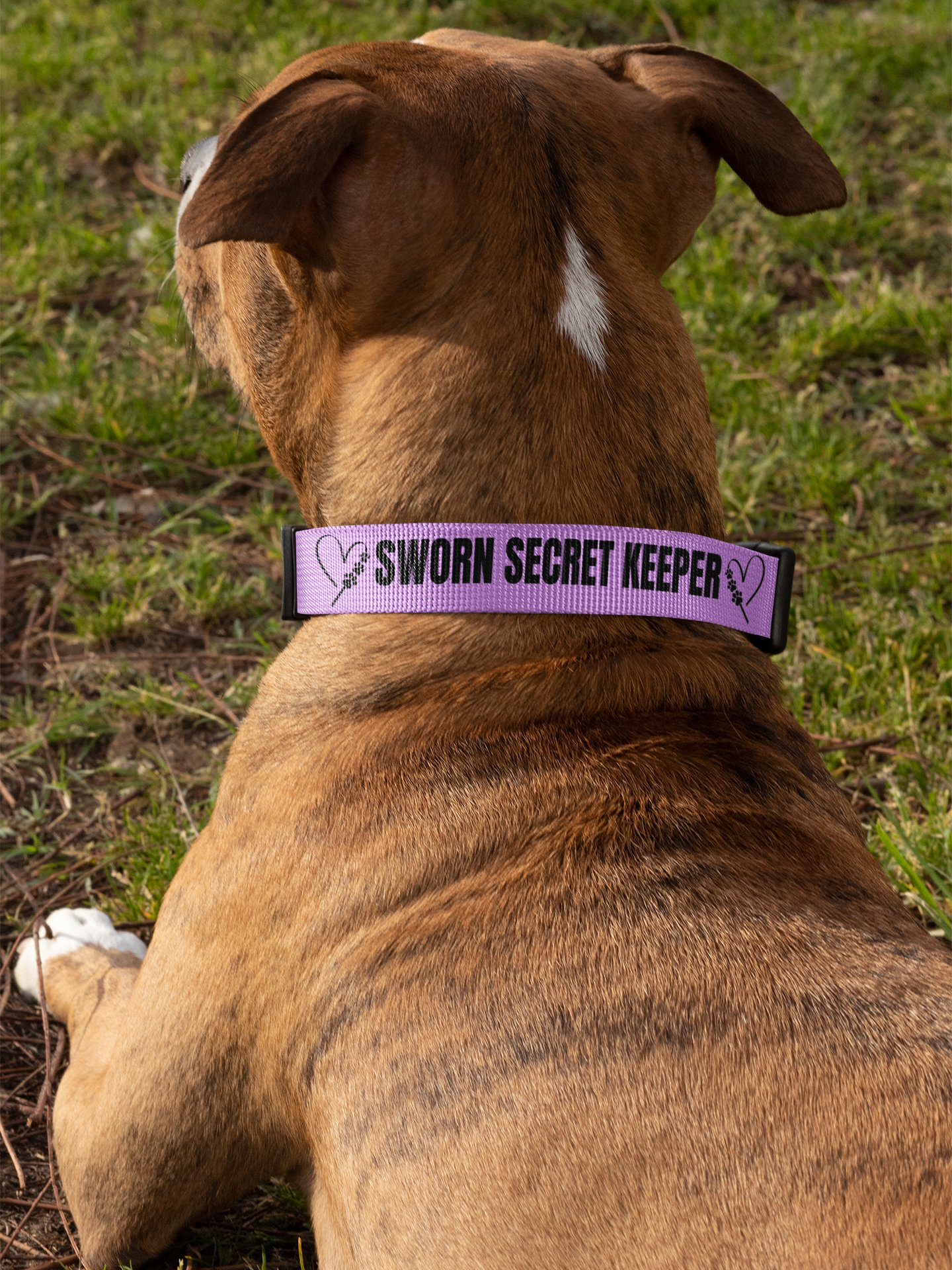 Sworn Secret Keeper Dog Collar & Leash Set product image (7)