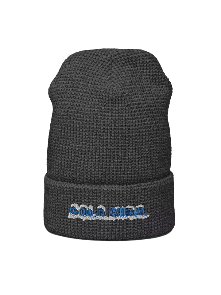 OG Cold Kids Waffle Beanie product image (1)
