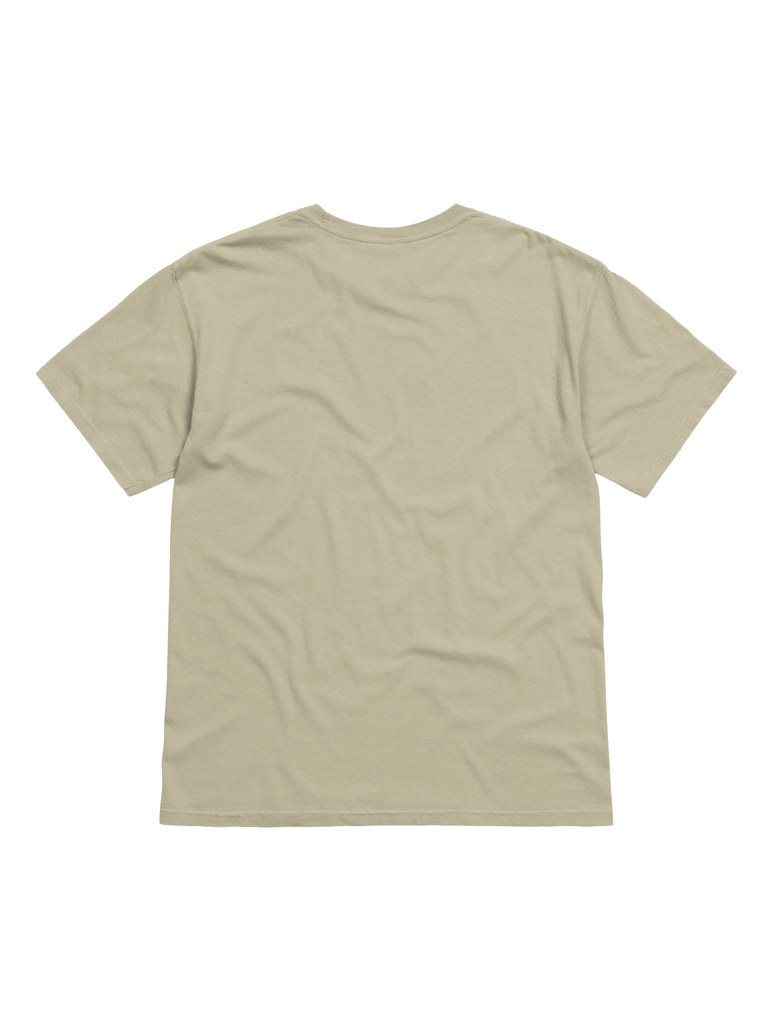 Sloth Full of Potential Heavyweight Graphic Tee product image (12)