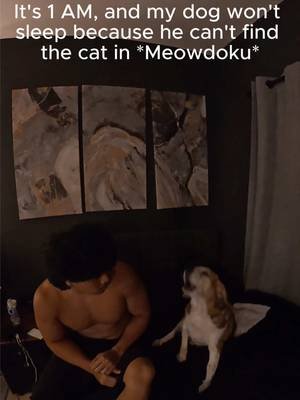 #meowdoku Bro cant sleep without this game 😂 #dog #funny #viral 