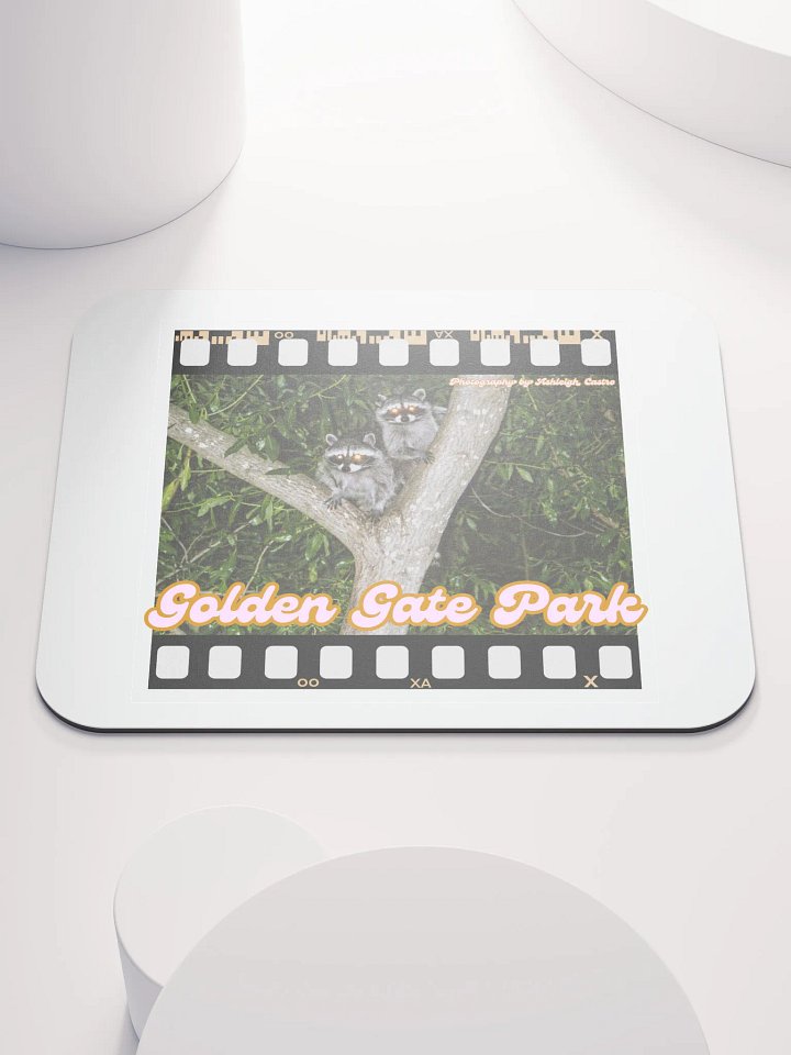 Golden Gate Park Raccoons Mouse Pad product image (1)
