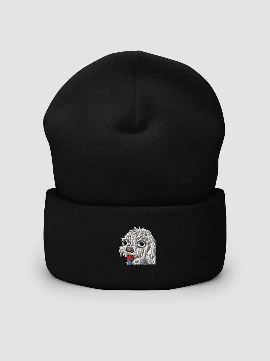 basicwitgirl Embroidered Nug Beanie product image (1)