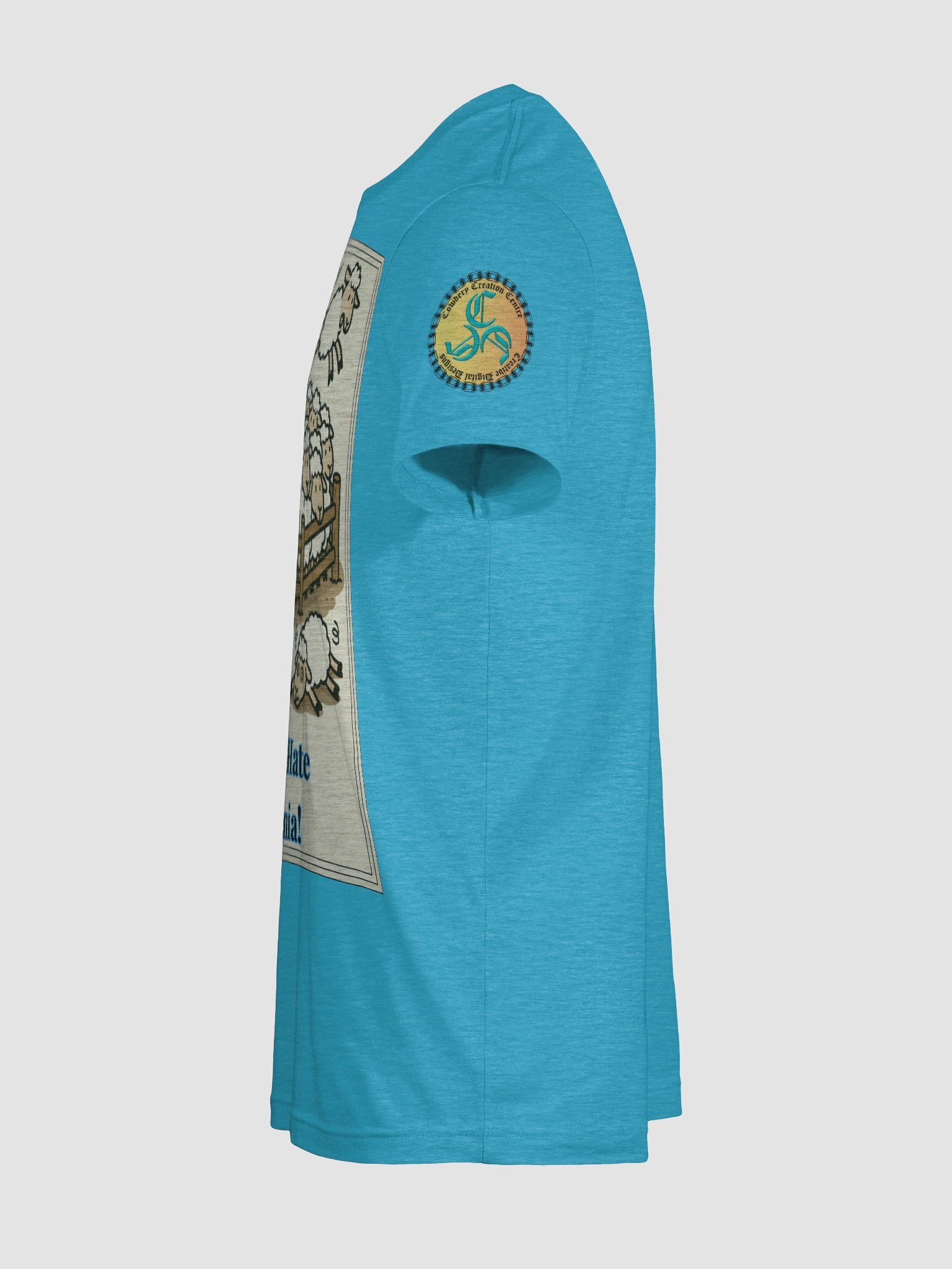 I Really Hate Insomnia (Both) Bella+Canvas Supersoft T-Shirt Colors (5) product image (115)