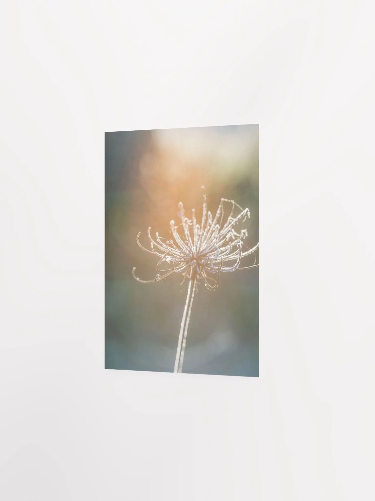 Dreaming product image (5)