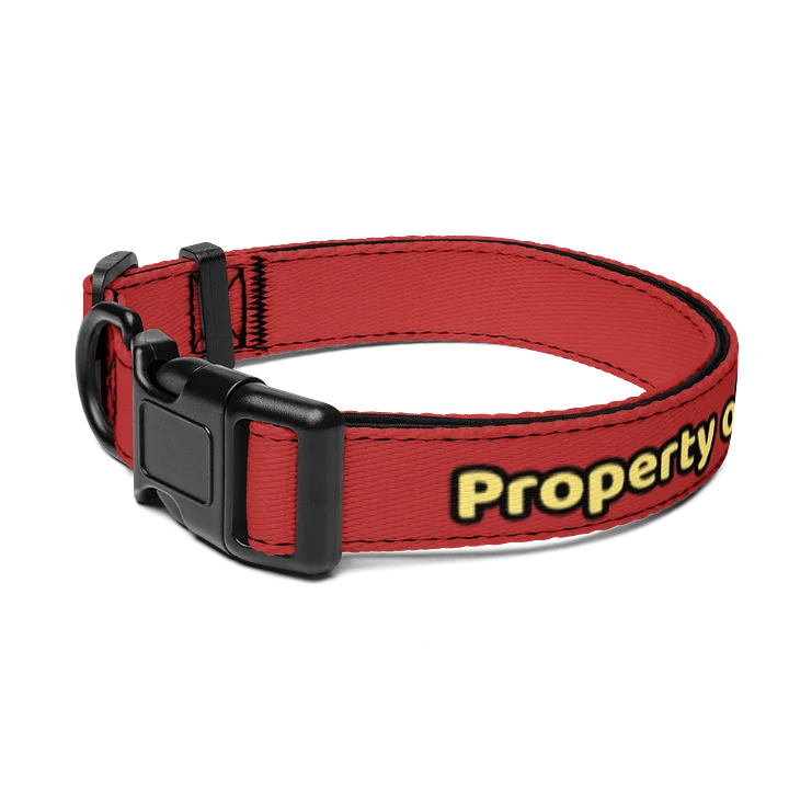 Pet Collar product image (1)