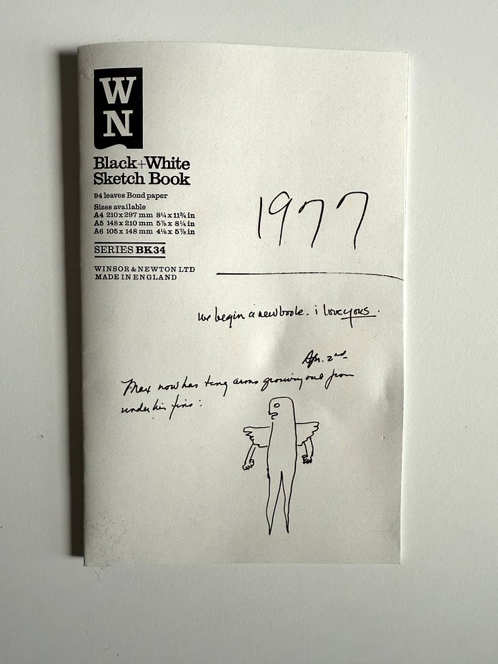 Collectable Dory Previn Film Zine product image (2)