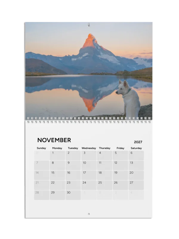 Lil Rasta Calendar 2027 product image (12)