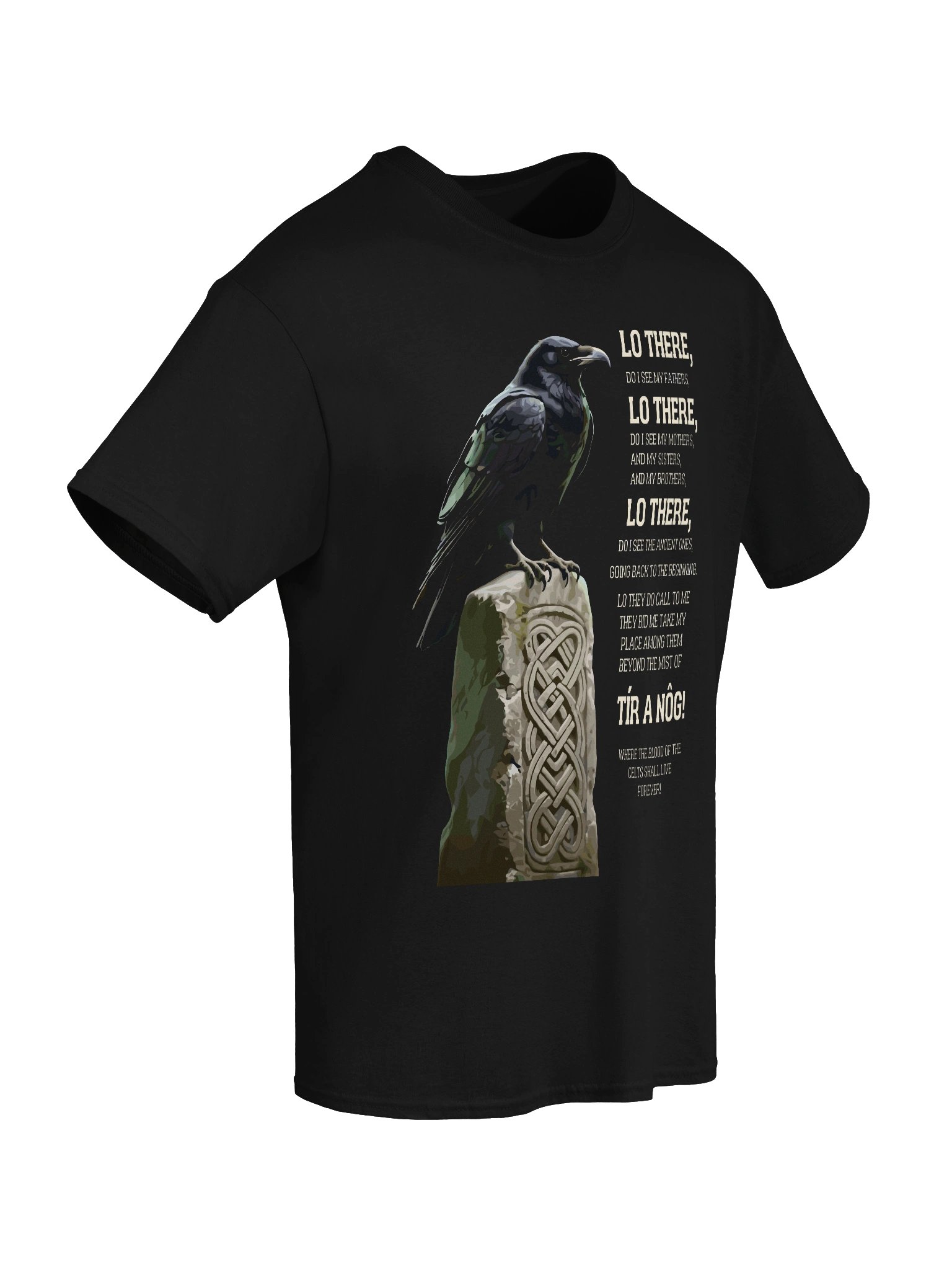 Tír A Nóg Celtic Raven Graphic Tee product image (6)