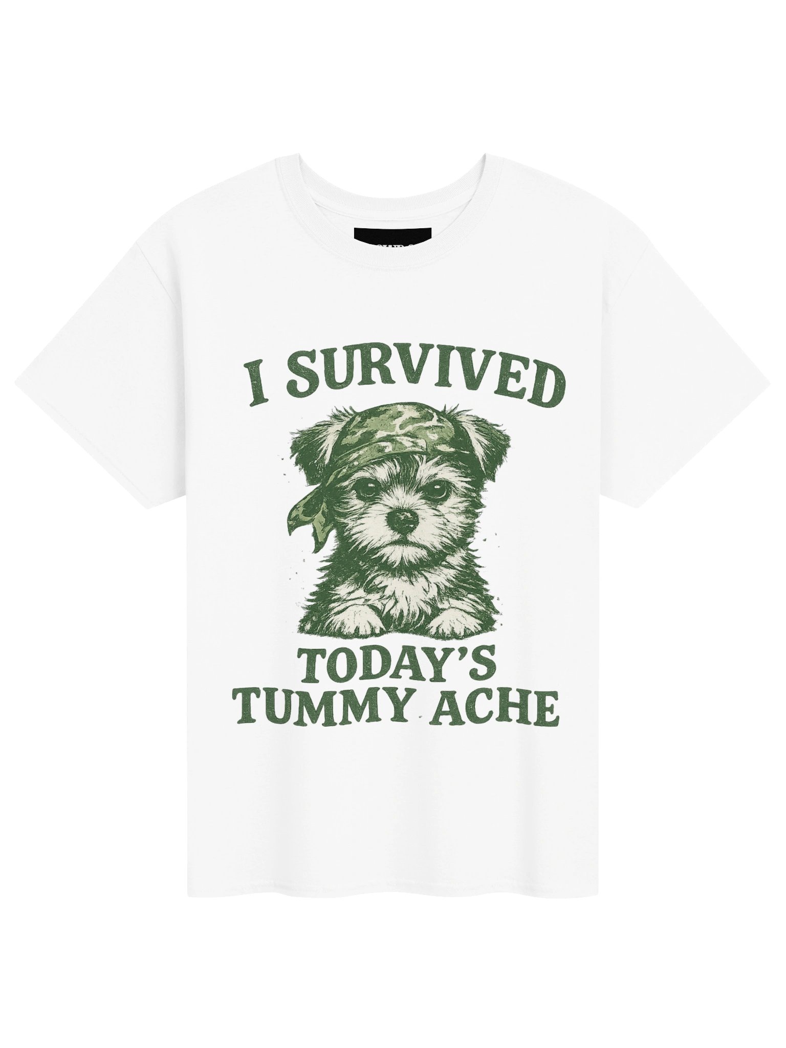 Survived today's tummy ache product image (37)