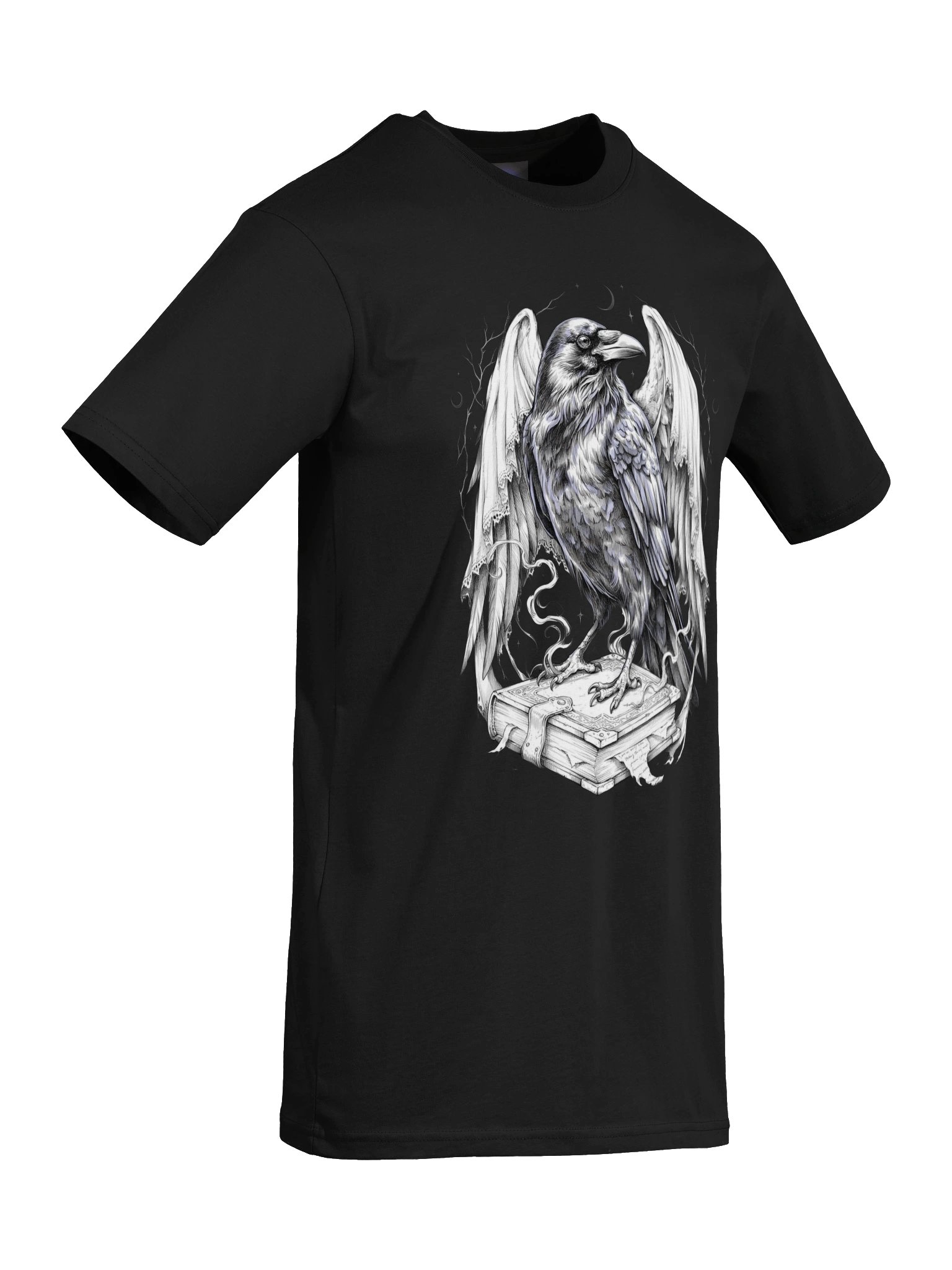 The Midnight Scholar // Gothic Raven Heavyweight Tee product image (12)