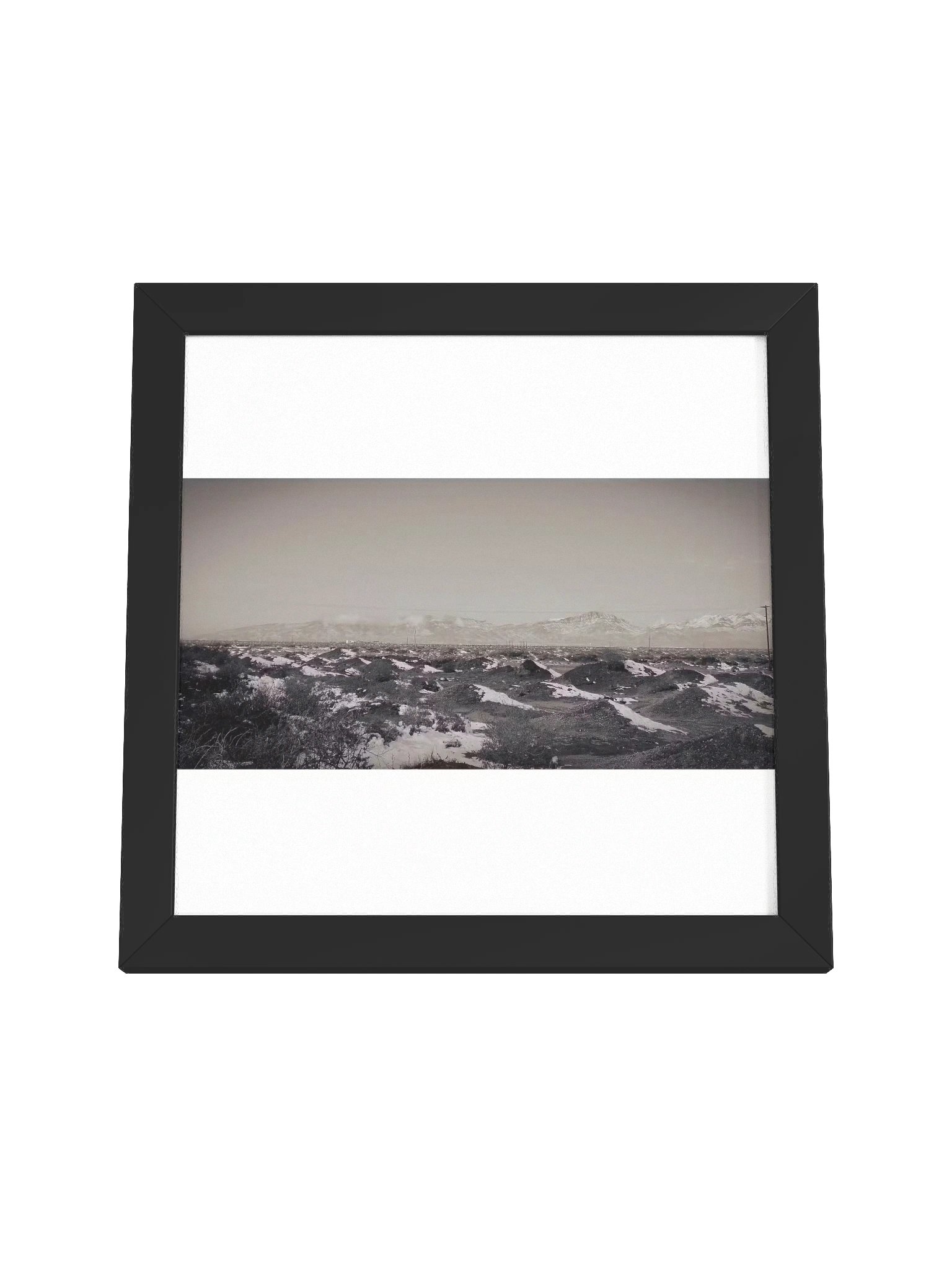 The Horizon product image (4)