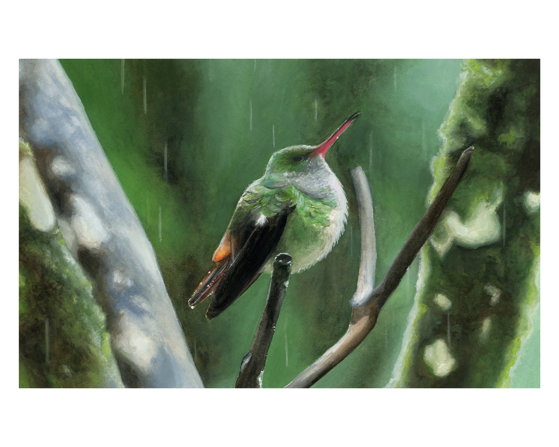 Dew - fine art print product image (1)