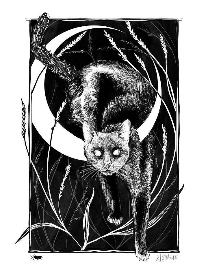 Bad Cat Graphic Tee product image (3)