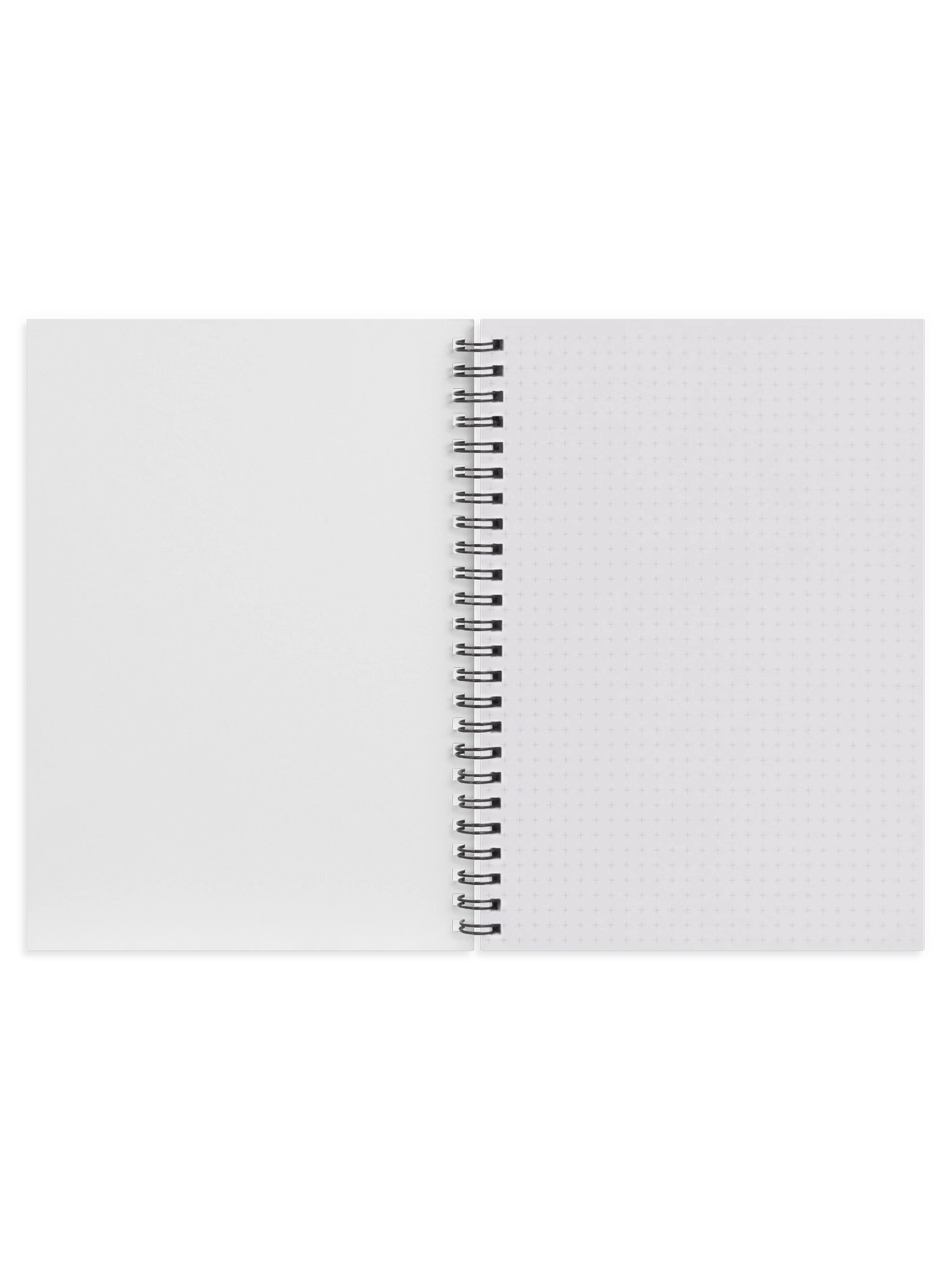 Julius Evola Spiral Notebook product image (3)