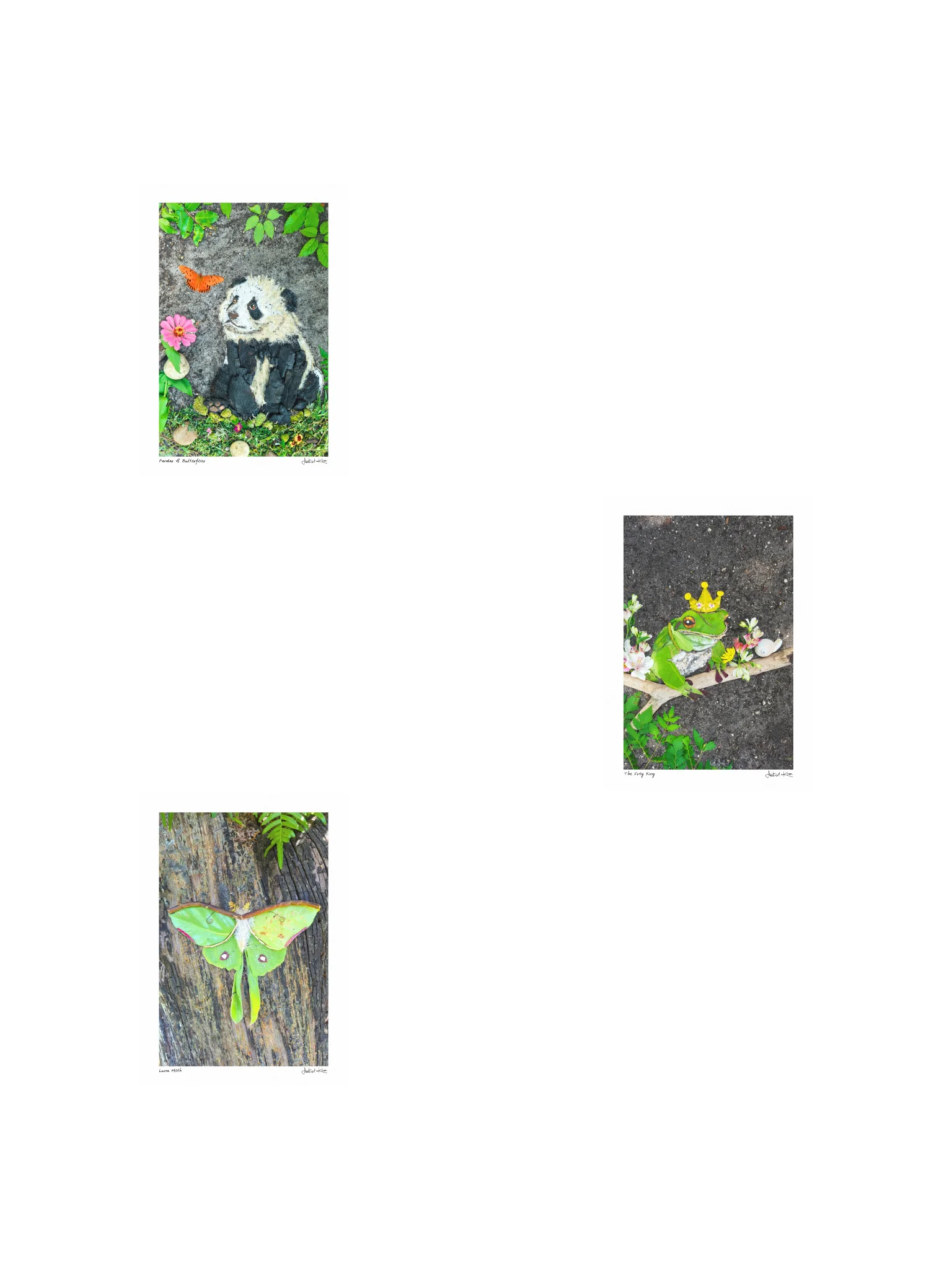 TREELANDS | Mini Print Collection product image (1)