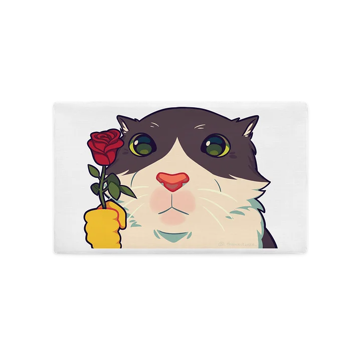 Kiwi Pillow Case product image (1)