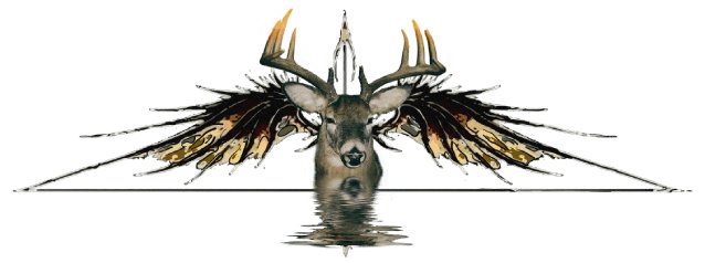 Deerhunter Digital file product image (1)