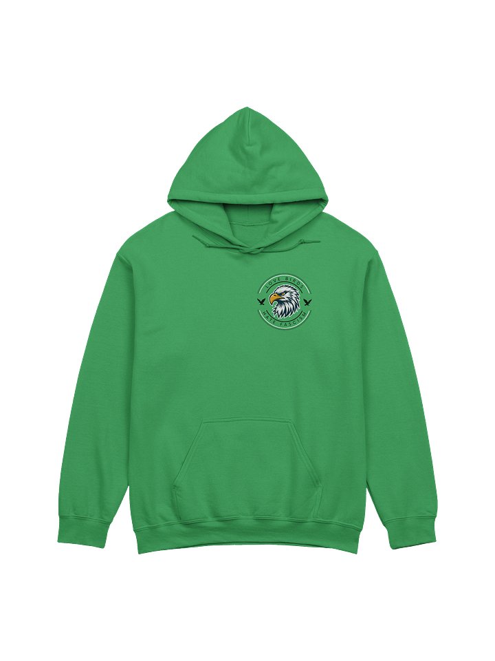 Go Birds, Fuck Ice, Free Palestine - Hoody product image (2)