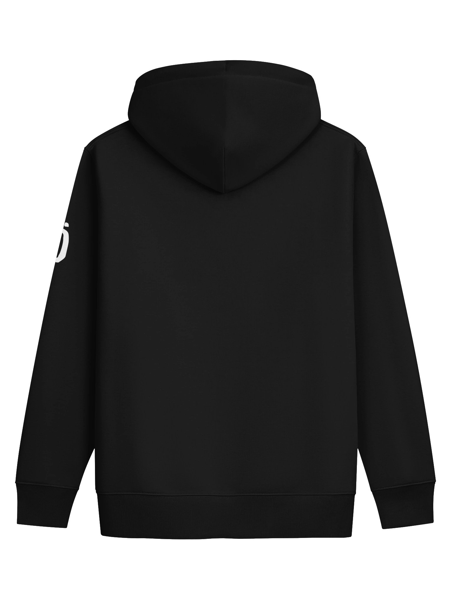 Says It All Hoödie product image (6)