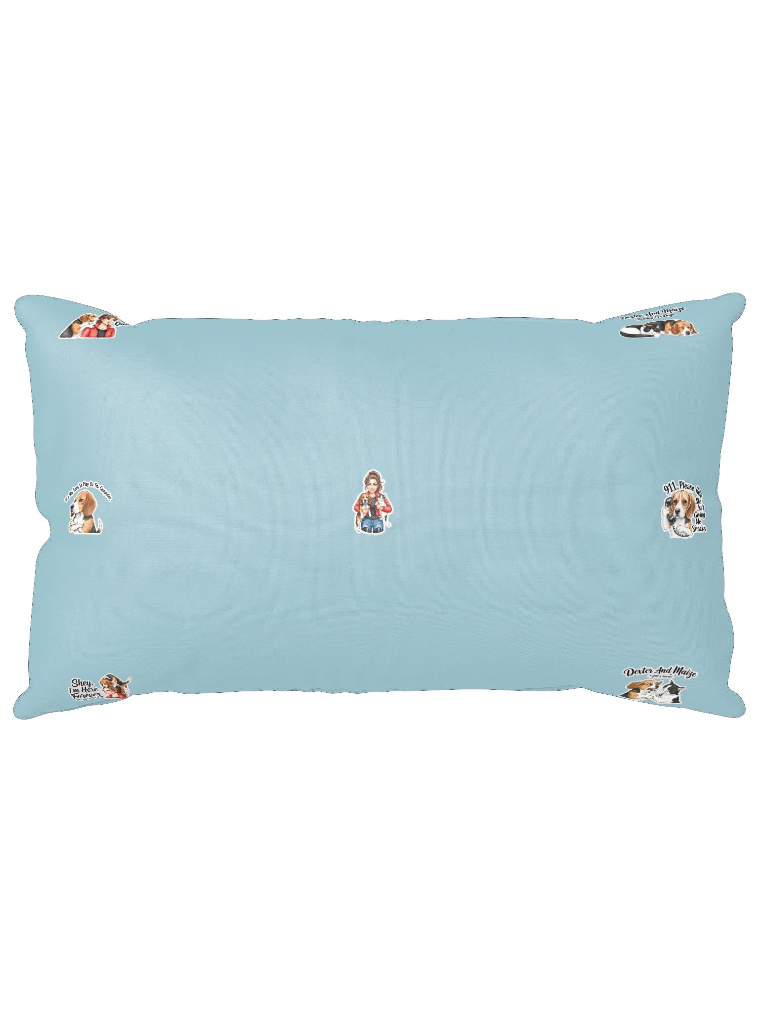 Dex and Co. pillow product image (14)