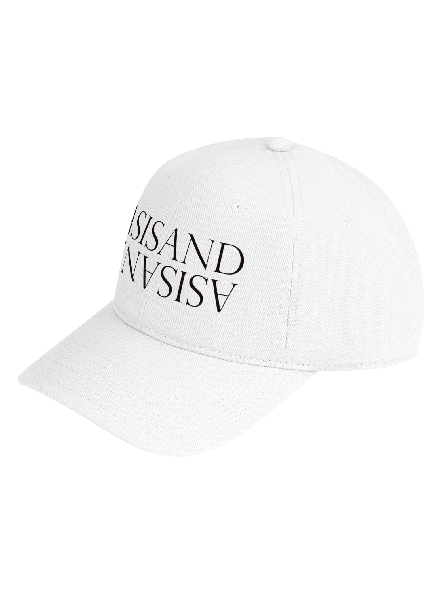 ASISAND CLASSIC LOGO EMBROIDERED HAT WT product image (3)