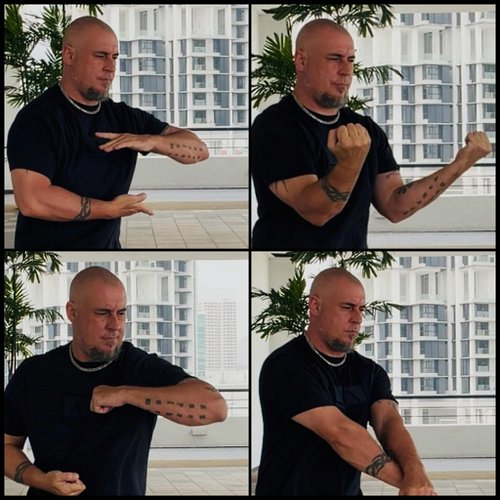 The classical Shaolin training system draws upon four important bodies of practice: the Yijinjing (Sinew/Channel Changing Cla...