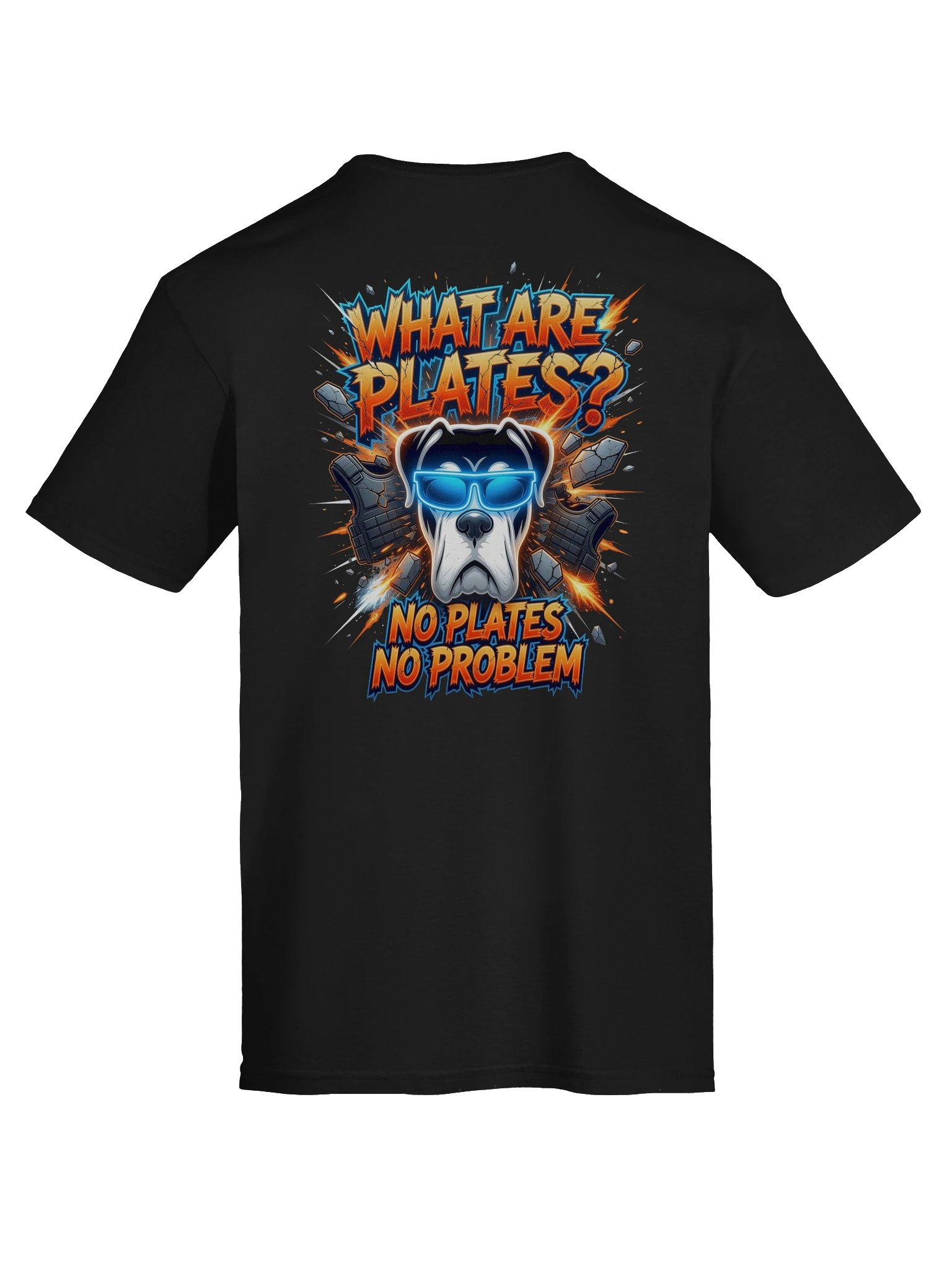 What are Plates? No Plates, No Problem product image (7)