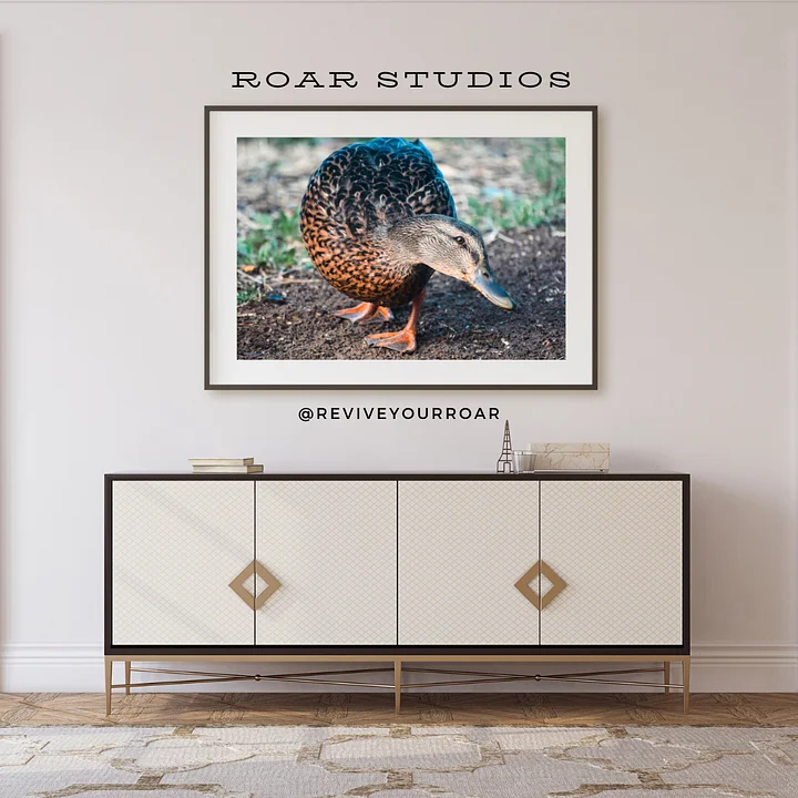 Darla the Duck product image (1)
