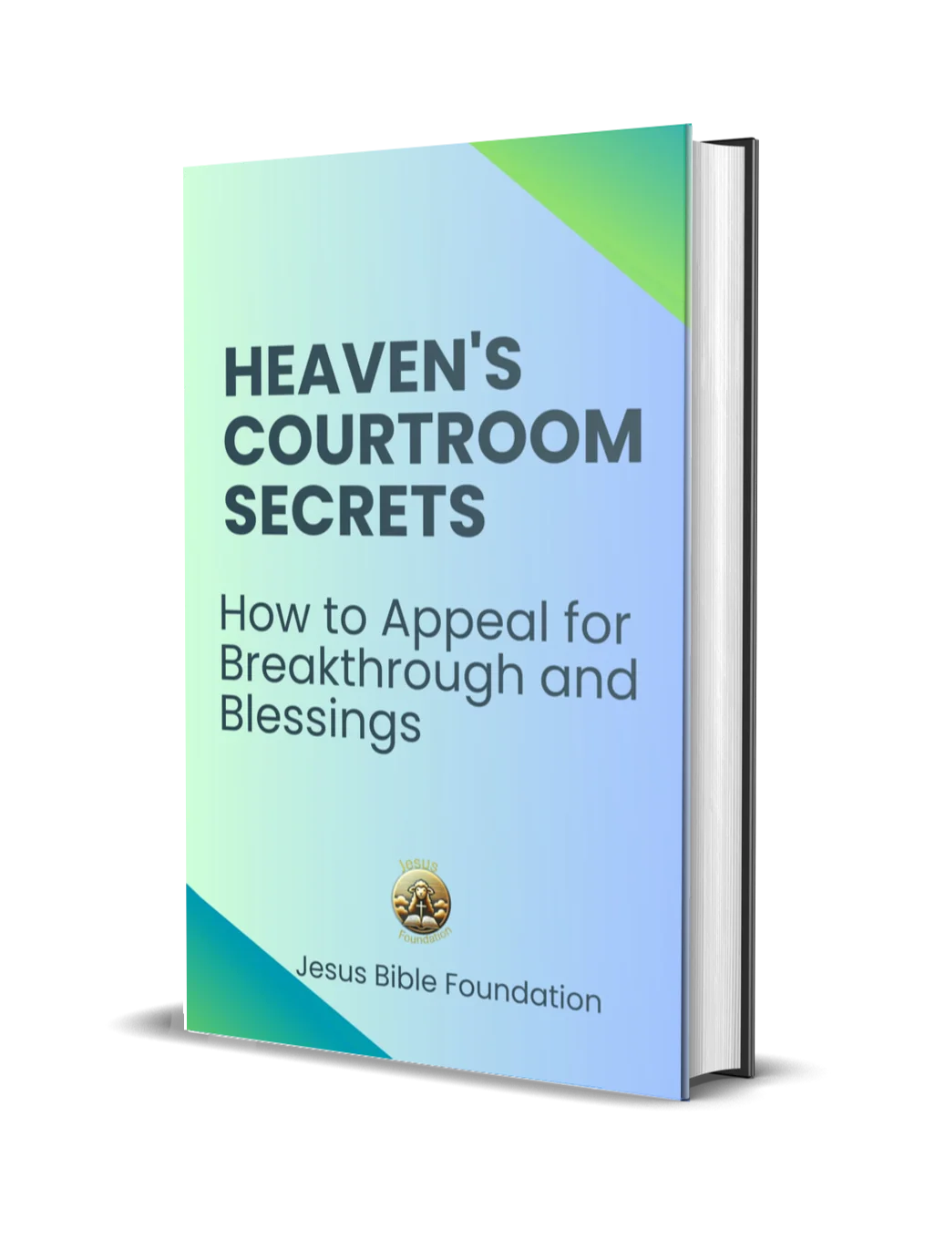 Heaven's Courtroom Secrets: How to Appeal for Breakthrough and Blessings product image (1)