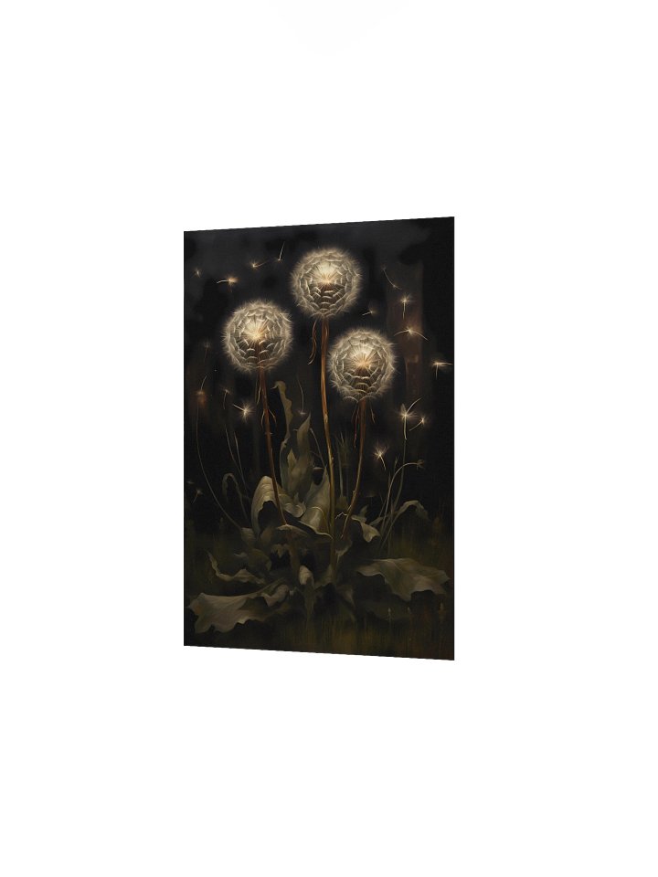 Dandelions product image (2)