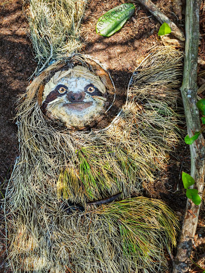 RAINFOREST & CHILL | Fine Art Print product image (2)