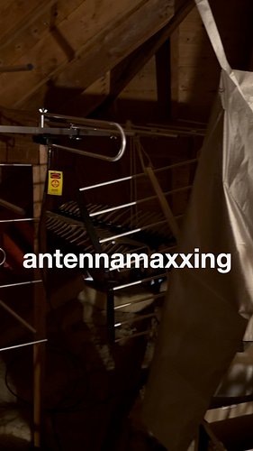 #antennamaxxing