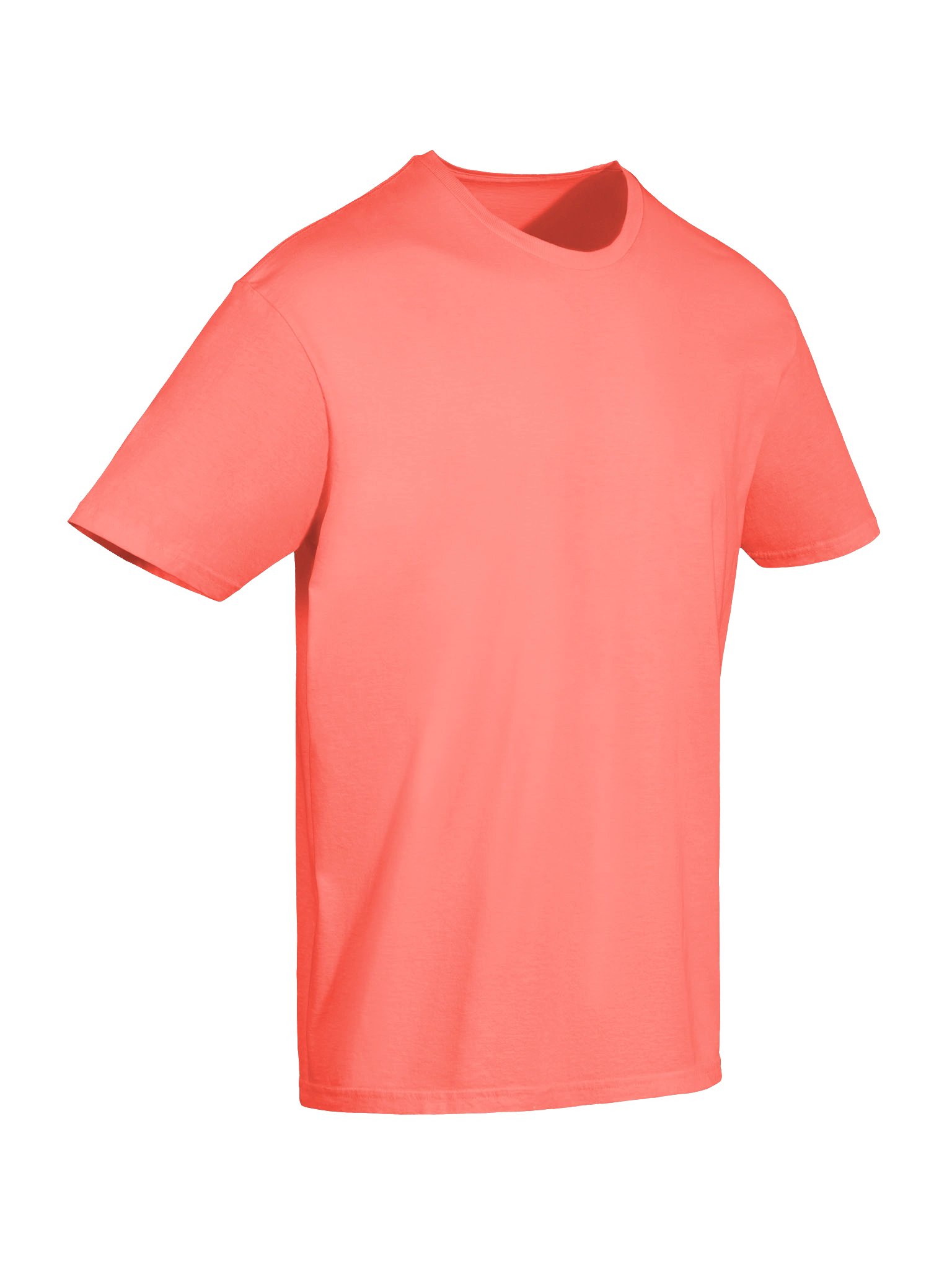 Santa Took It Literally Christmas T-Shirt product image (3)