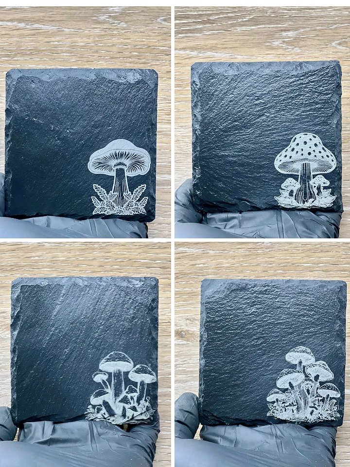 Mushroom Medley product image (1)