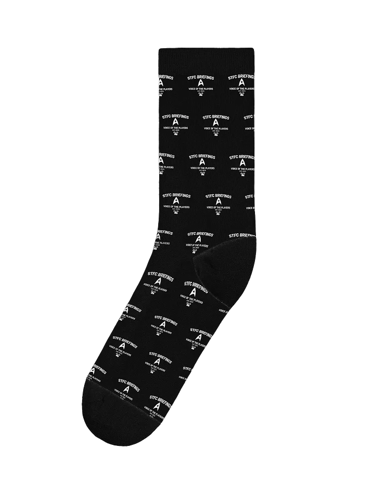 STFC Briefings EST Socks Black product image (1)