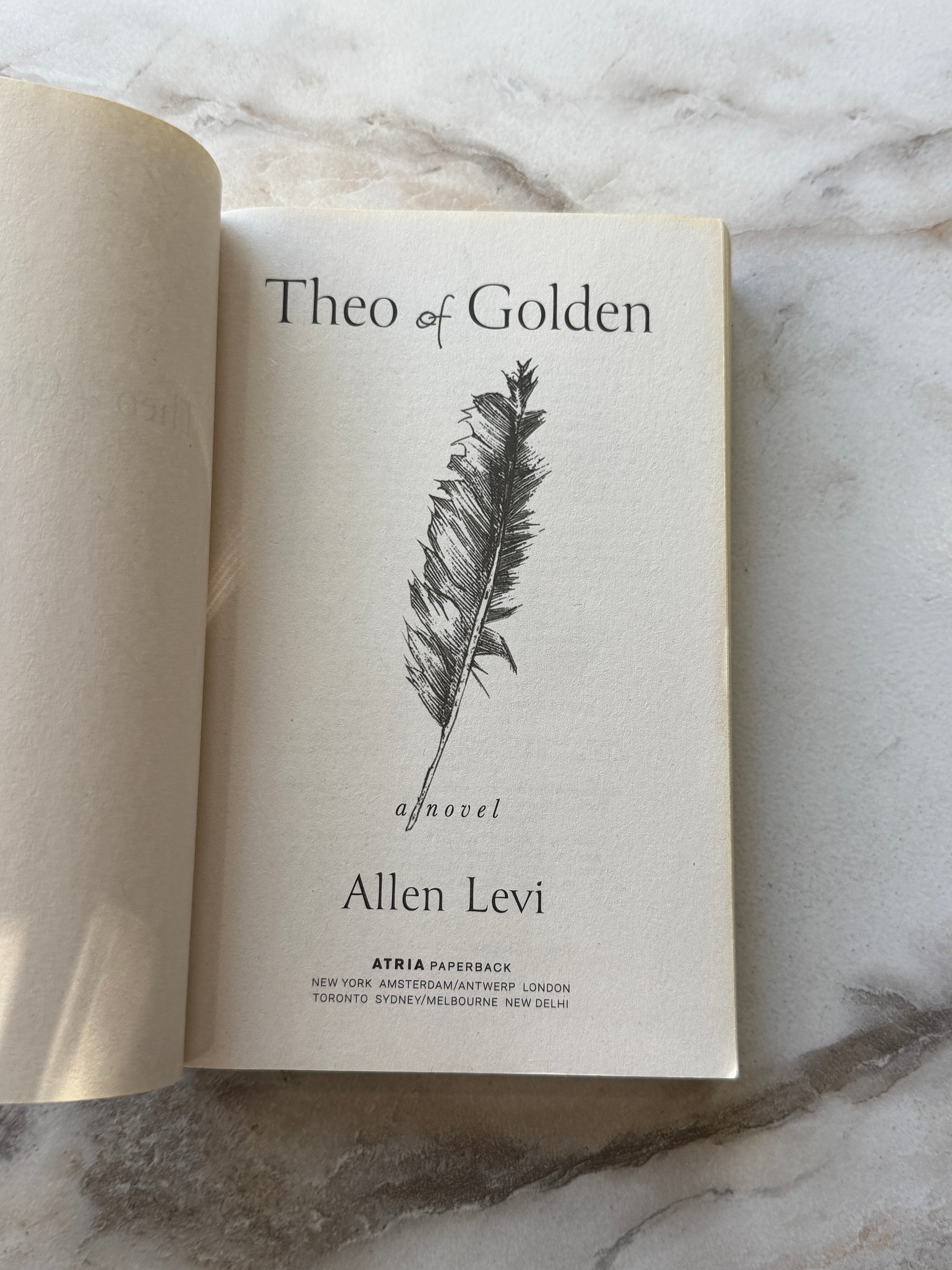 Theo of Golden | Allen Levi | Atria Paperback | New York Times Bestseller product image (2)